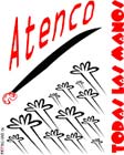 Atenco poster